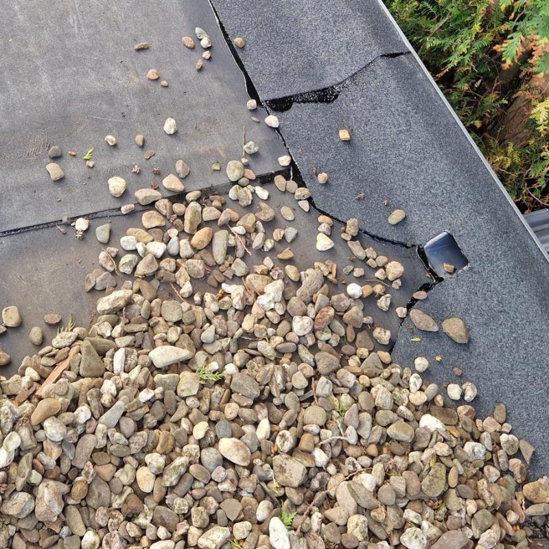 hemelwaterafvoer bitumen dak